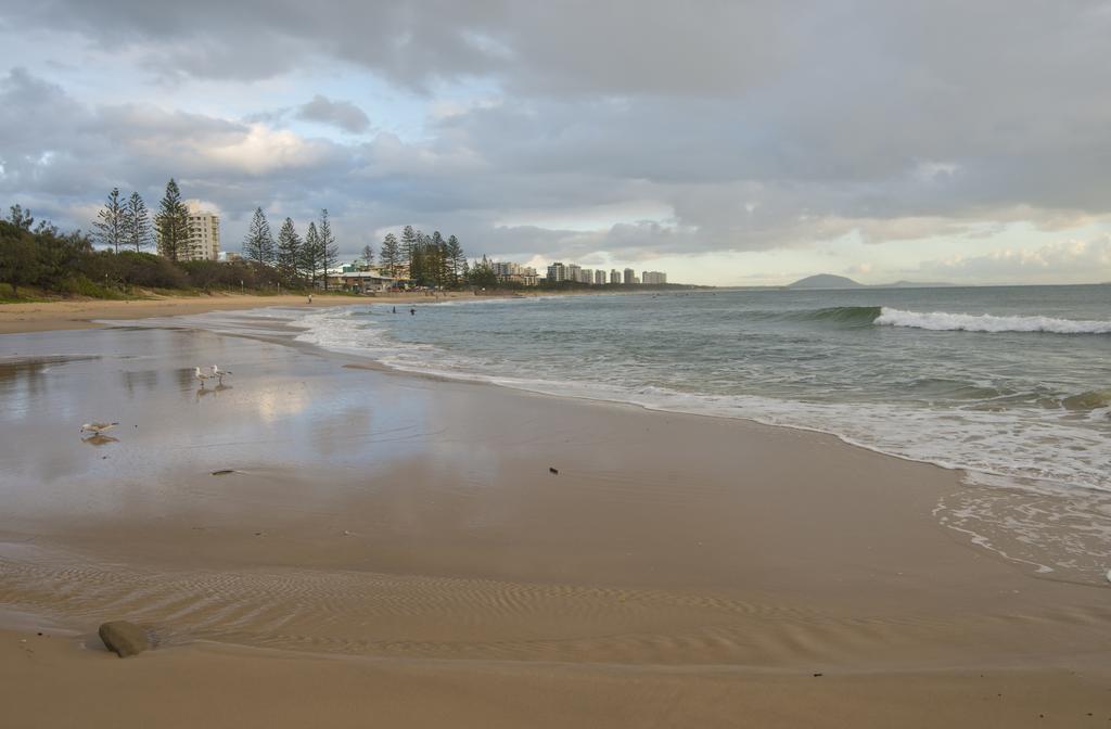 Ocean Boulevard Alexandra Headland Extérieur photo